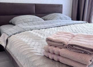 Аренда 1-ком. квартиры, 45 м2, Республика Башкортостан, бульвар Ибрагимова