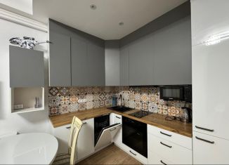 Сдаю в аренду квартиру студию, 40 м2, Сочи, улица Бытха, 41/2