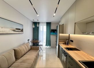 Продам однокомнатную квартиру, 31 м2, Сочи, ЖК Летний, улица Искры, 88к1