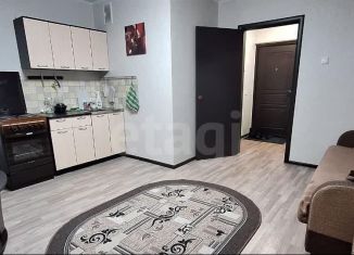 Продается квартира студия, 28.3 м2, Чебаркуль, улица Карпенко, 4В