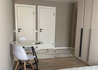 Квартира в аренду студия, 22 м2, Сочи, улица Тюленина, 8/2, микрорайон Соболевка