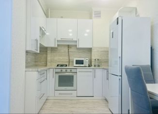 Сдача в аренду однокомнатной квартиры, 40 м2, Севастополь, улица Челнокова, 17к1