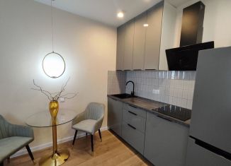 Квартира на продажу студия, 28 м2, Ростов-на-Дону, ЖК Пятый Элемент, улица Ерёменко, 108с1