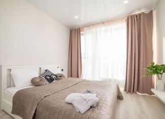 Сдаю в аренду 2-комнатную квартиру, 42 м2, Екатеринбург, улица Чкалова, 18, ЖК Южные Кварталы