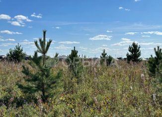 Продаю участок, 5 сот., деревня Елань, деревня Елань, 14