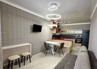 Однокомнатная квартира в аренду, 55 м2, Саратов, улица имени Н.Г. Чернышевского, 137А