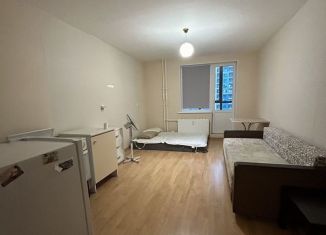 Аренда квартиры студии, 28 м2, Мурино, улица Шувалова, 48