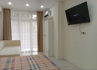 Продаю квартиру студию, 30.3 м2, Сочи, улица Лысая Гора, 27/28, микрорайон Светлана