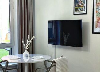 Сдам квартиру студию, 25 м2, деревня Новое Девяткино, Главная улица, 10