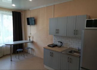 Сдам квартиру студию, 30 м2, Тюмень, Первомайская улица, 58Ас1