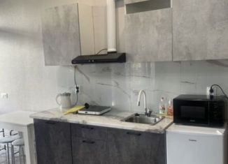 Сдается в аренду квартира студия, 30 м2, Сочи, Православная улица, 42/4, микрорайон Энергетик-Изумруд