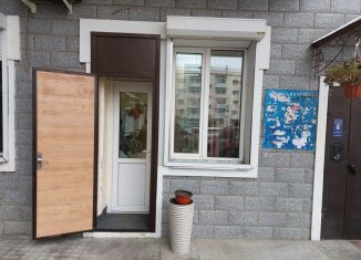 Помещение свободного назначения на продажу, 20.7 м2, Благовещенск, Красноармейская улица, 123