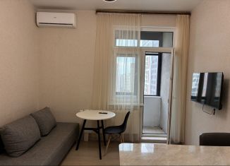 Сдается 2-ком. квартира, 40 м2, Котельники, Сосновая улица, 1к2