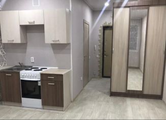 Аренда квартиры студии, 27 м2, Республика Башкортостан, улица Менделеева, 104