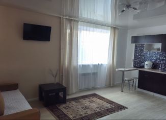 Сдам в аренду квартиру студию, 25 м2, Тюмень, Самарская улица, 20