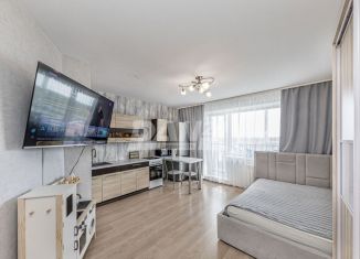 Квартира на продажу студия, 24.7 м2, Челябинск, улица Петра Сумина, 26, Центральный район