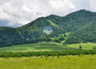 Продаю участок, 126 сот., Чемальское сельское поселение