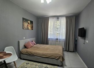 Сдам в аренду квартиру студию, 29 м2, Ростов-на-Дону, Ржевская улица, 2/140, Октябрьский район