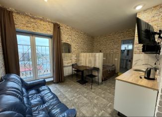 Продается квартира студия, 26 м2, Санкт-Петербург, 26-я линия Васильевского острова, 9