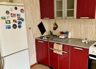 Сдается квартира студия, 25 м2, Шелехов, 3-й микрорайон, 14