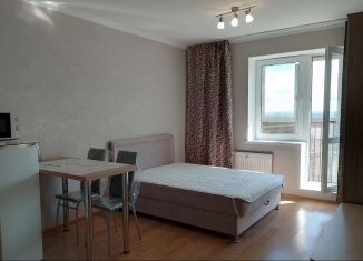 Сдается в аренду квартира студия, 25.4 м2, Санкт-Петербург, Советский проспект, 39к1, ЖК Живи в Рыбацком