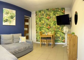 Сдается квартира студия, 30 м2, Сочи, микрорайон Малый Ахун, СТ Труд, 75