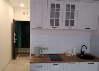 Продаю квартиру студию, 22.8 м2, Мытищи, улица Колпакова, 44