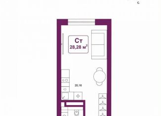 Продам квартиру студию, 28.3 м2, деревня Дударева, улица Сергея Джанбровского, 25