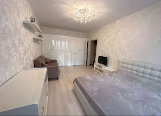 Продажа 1-комнатной квартиры, 42 м2, Санкт-Петербург, Дунайский проспект, 7к7, ЖК Триумф Парк