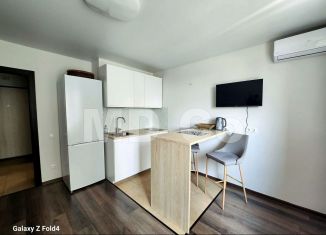 Сдам квартиру студию, 25 м2, Люберцы, Инициативная улица, 7В, ЖК Облака