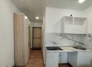 Продам квартиру студию, 19 м2, Тюмень, улица Новосёлов, 115