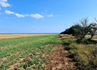 Земельный участок на продажу, 100 сот., село Окунёвка, 35Н-608