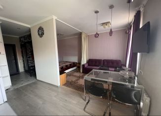 Квартира в аренду студия, 42 м2, село Ромашково, Никольская улица, 2к3