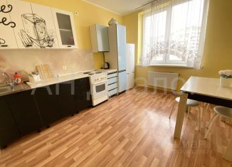 Сдается 1-комнатная квартира, 66 м2, Екатеринбург, улица Кузнецова, 7, улица Кузнецова