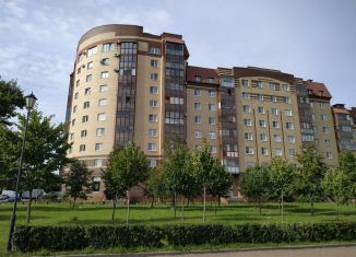 Однокомнатная квартира в аренду, 45 м2, Ломоносов, улица Костылева, 18