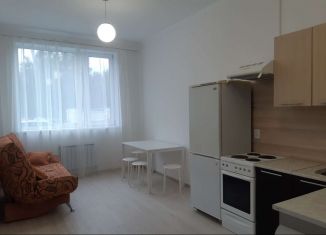 Сдам 1-комнатную квартиру, 54.3 м2, Свердловская область, Базовый переулок, 48
