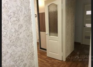 Сдается 1-комнатная квартира, 46 м2, Красноярский край, Медицинский переулок, 14Д