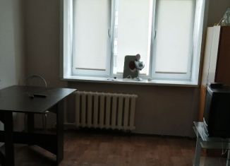Двухкомнатная квартира в аренду, 44 м2, Пермский край, улица Луначарского, 80