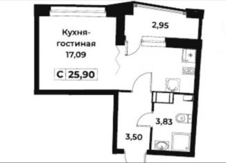 Продаю квартиру студию, 25 м2, Мурино, проспект Авиаторов Балтики, 29к2