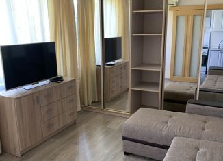 Сдаю в аренду 1-ком. квартиру, 30 м2, Сочи, улица Шевцовой, 3, микрорайон Соболевка