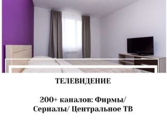 1-комнатная квартира в аренду, 48 м2, Екатеринбург, Трамвайный переулок, 2к1, ЖК Малевич