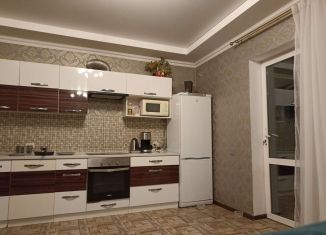 Сдам в аренду дом, 100 м2, СНТ Энергетик, Мирная улица