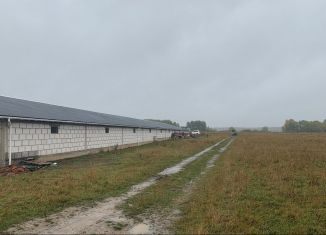 Продается земельный участок, 500 сот., деревня Совьяки, Школьная улица