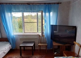 Продается дом, 20 м2, деревня Ильинское