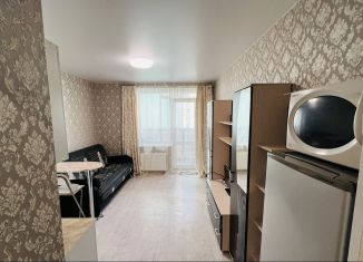 Квартира в аренду студия, 26 м2, Мурино, Воронцовский бульвар, 16к1