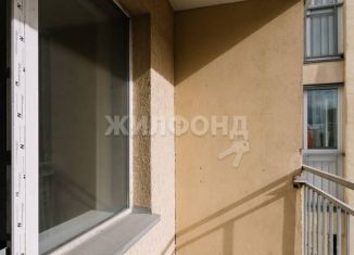 1-комнатная квартира на продажу, 28.2 м2, Новосибирск, Пригородная улица, 19, ЖК Золотая Роща