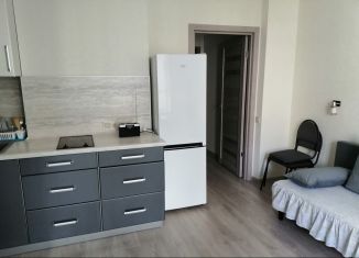 Сдаю в аренду квартиру студию, 21.6 м2, Пермь, улица Советской Армии, 60