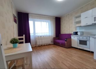 Сдается квартира студия, 25 м2, Новосибирск, улица Романова, 60