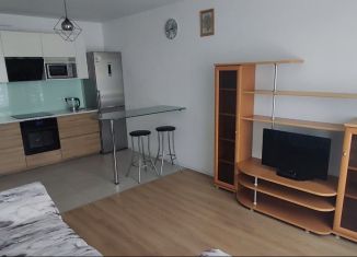 Сдается двухкомнатная квартира, 55 м2, Люберцы, Весенняя улица, 4к2, ЖК Люберецкий