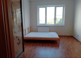 Сдам 1-ком. квартиру, 40 м2, Санкт-Петербург, Юнтоловский проспект, 49к5, Приморский район